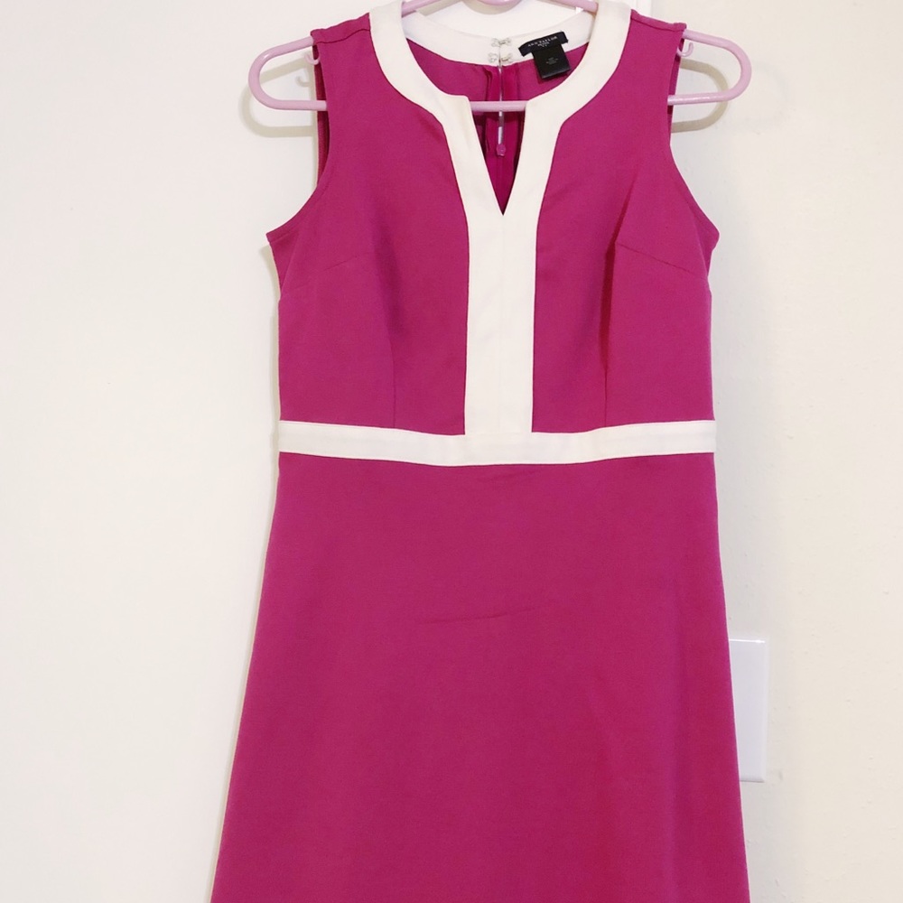 Ann Taylor Magenta Dress 0 Petite